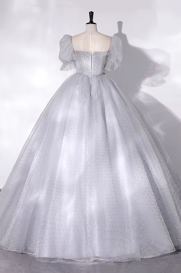 Gray Tulle Long A-Line Ball Gown Gray Short Sleeve Evening Gown