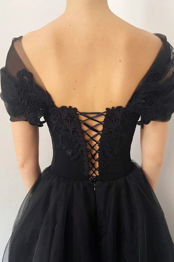 Black V-Neck Lace Long Prom Dress Black A-Line Evening Party Dress