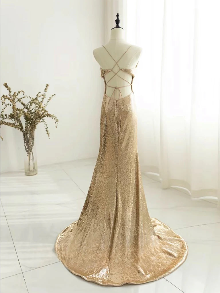 Buyishang Champagne Backless Sequin Long Prom Dress Sequin Champagne Long Evening Dress