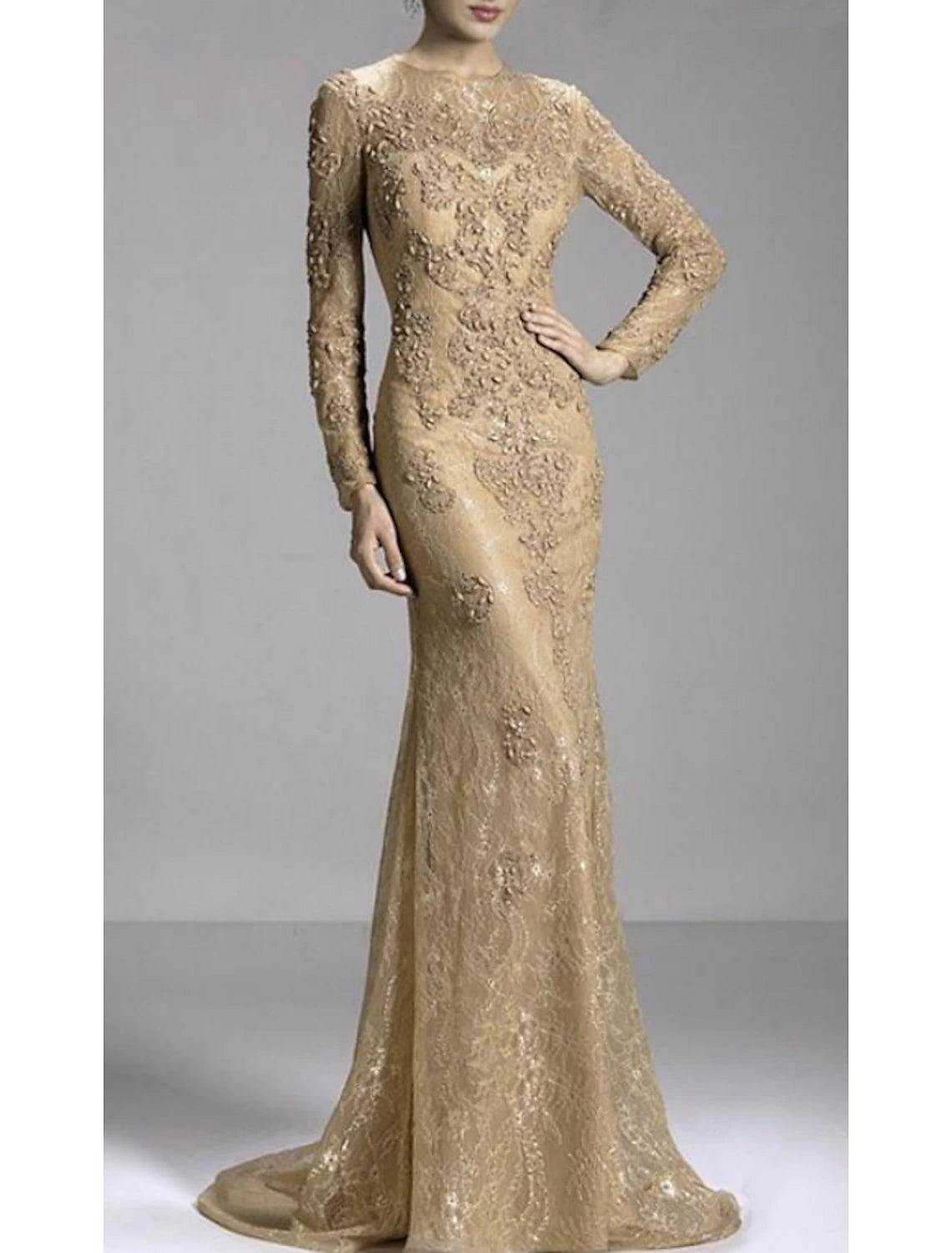 Mermaid Party Dress Evening Gown Luxurious Formal Dress Engagement Formal Evening Sweep / Brush Train Long Sleeve Jewel Neck Fall Wedding Guest Lace with Beading Appliques