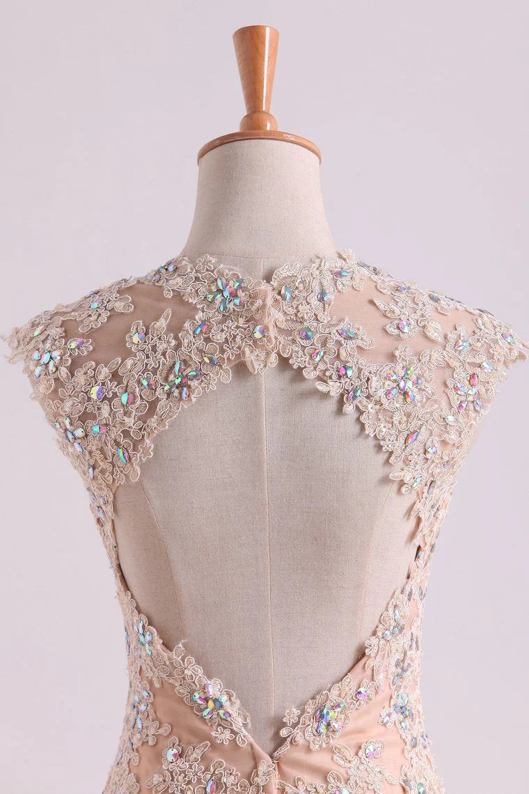 Classic Party Dresses V Neck Mermaid/Trumpet Floor Length Tulle Champagne With Applique & Beads