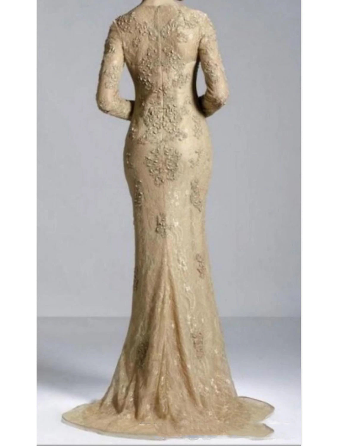 Mermaid Party Dress Evening Gown Luxurious Formal Dress Engagement Formal Evening Sweep / Brush Train Long Sleeve Jewel Neck Fall Wedding Guest Lace with Beading Appliques