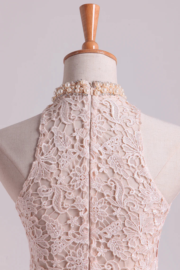 Hot High Neck Party Dresses Sheath Lace & Spandex Sweep Train