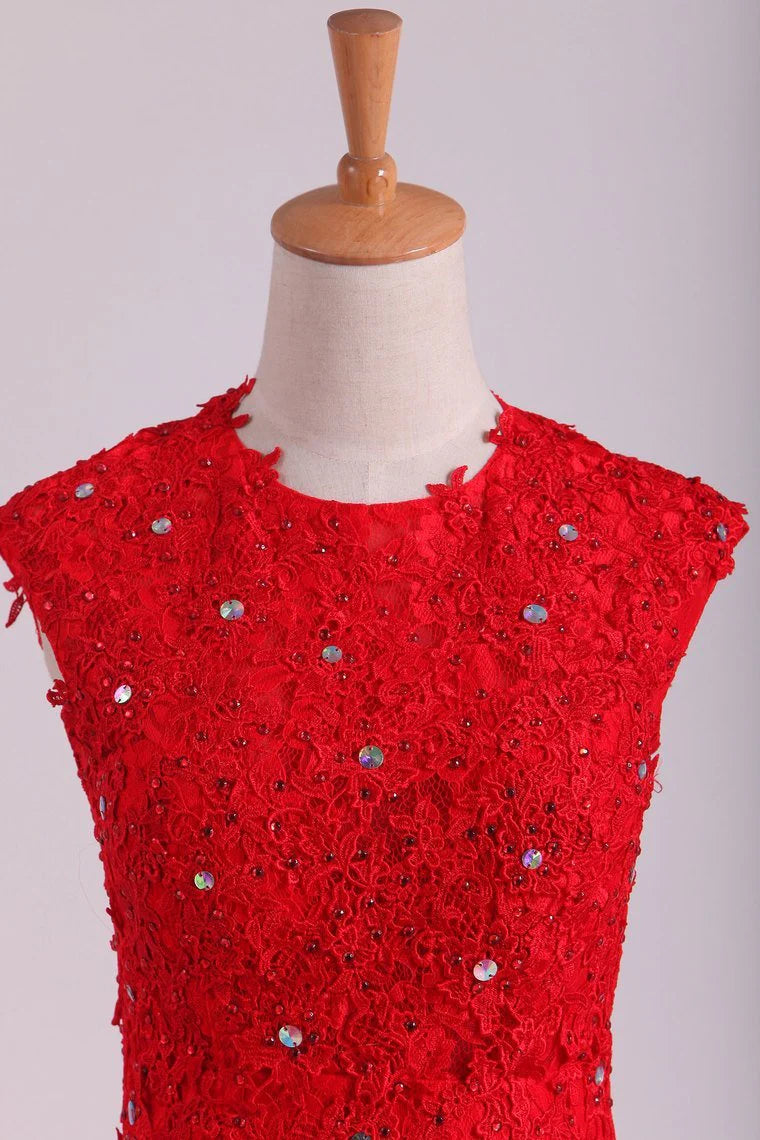 Mermaid With Beading Scoop Sweep Train Lace