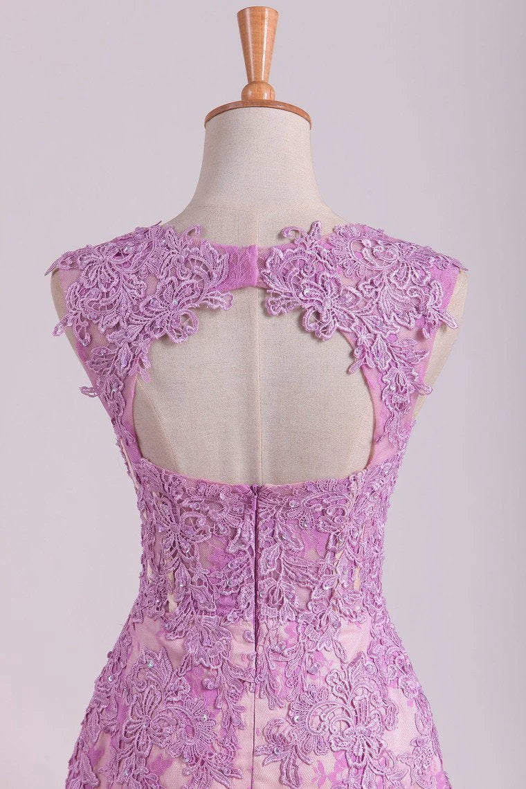 See-Through Lace & Tulle Straps Party Dresses Sheath With Beading And Applique