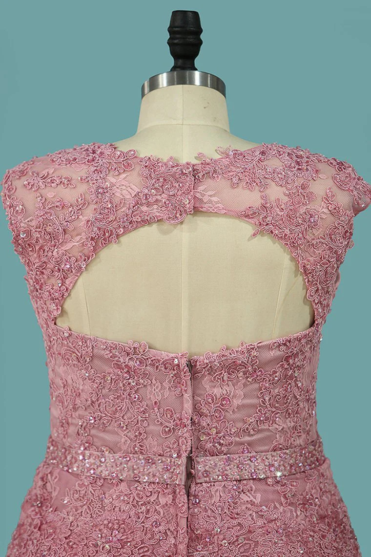 Tulle  Lace Party Dresses Open Back V Neck With Applique And Beads