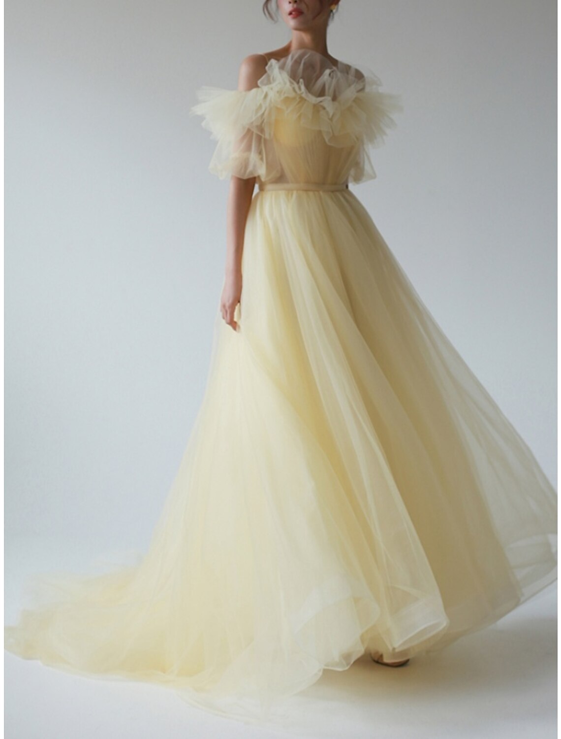 A-Line Evening Gown Elegant Dress Formal Sweep / Brush Train Short Sleeve V Neck Chiffon with Pleats Ruffles